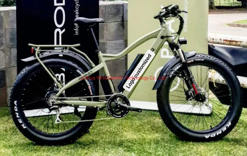 Pedelec 26inch Kenda Fat Tire Electric Charging Bike Mountain off Road Electric Fat Bicycle China