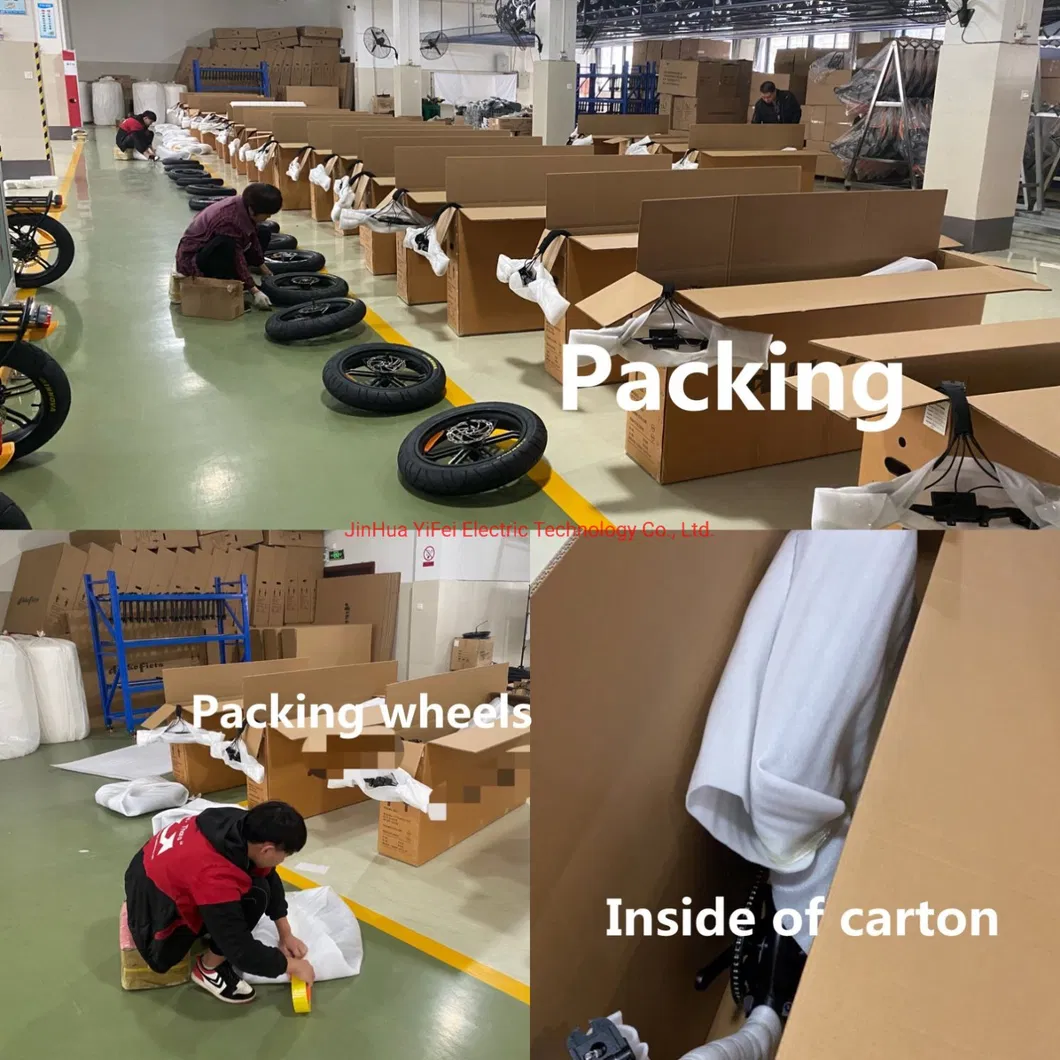 Pedelec 26inch Kenda Fat Tire Electric Charging Bike Mountain off Road Electric Fat Bicycle China