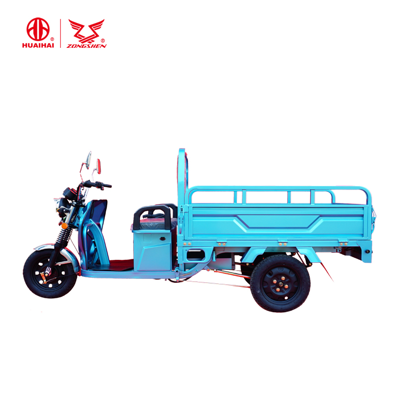 Popular 60V 800W Brushless Motor 3 Wheel Tricycle From China