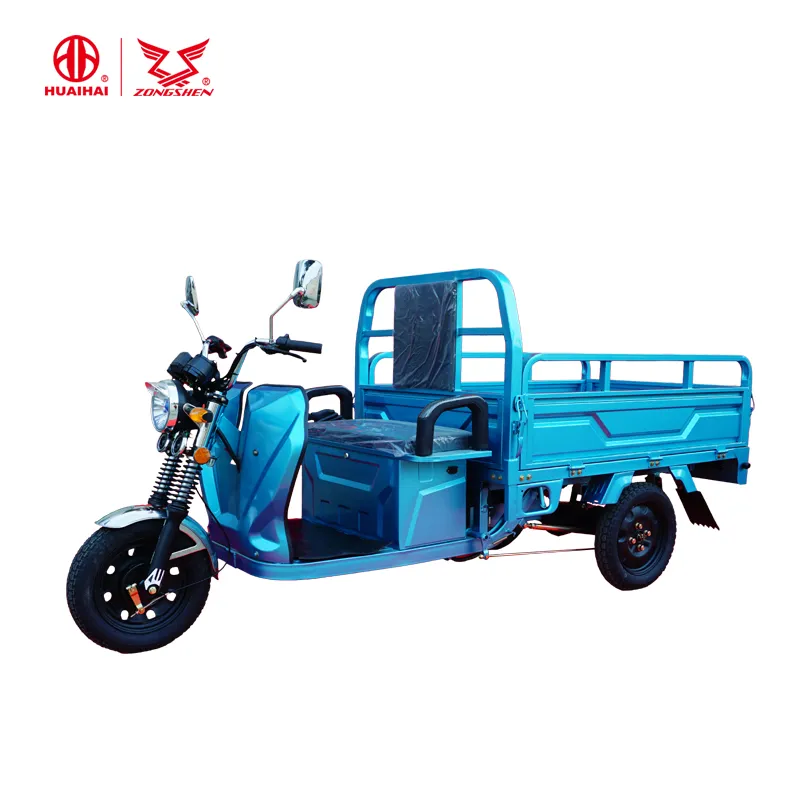 Popular 60V 800W Brushless Motor 3 Wheel Tricycle From China