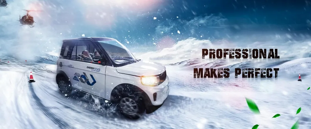 Popular Electric Car with Solar Panel and EEC DOT Certification Approved Can Be Do Rhd Drive Model The Lowest Price