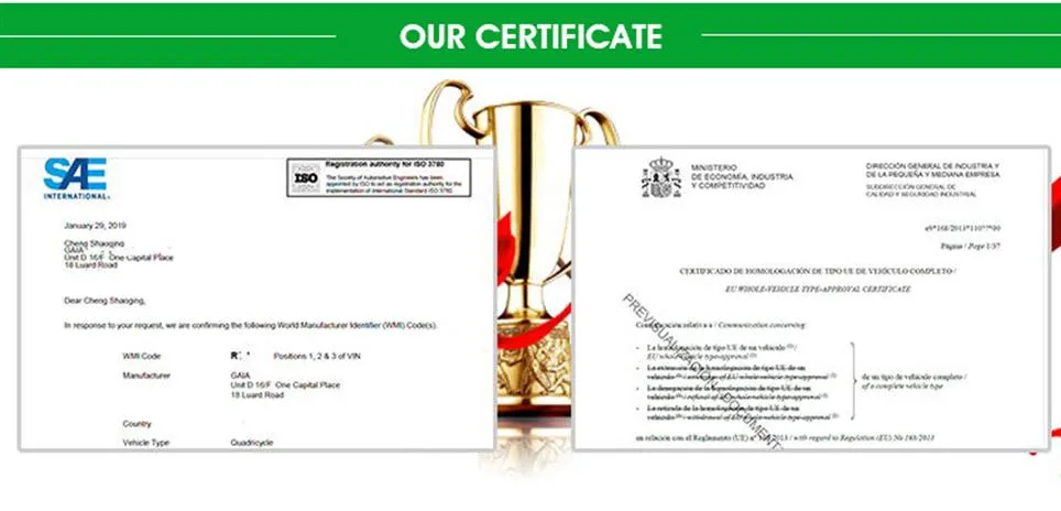 Popular Electric Car with Solar Panel and EEC DOT Certification Approved Can Be Do Rhd Drive Model The Lowest Price