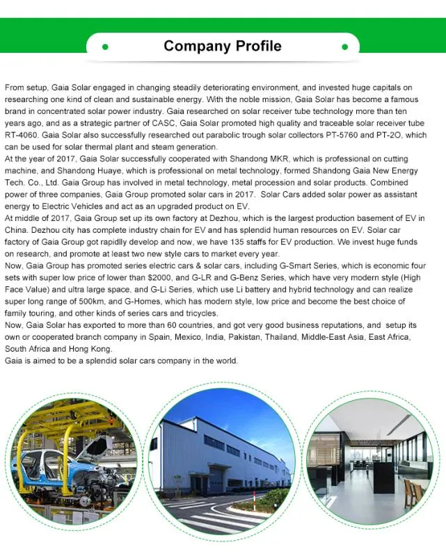 Popular Electric Car with Solar Panel and EEC DOT Certification Approved Can Be Do Rhd Drive Model The Lowest Price