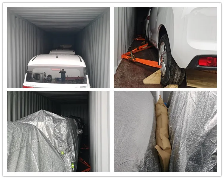 Qingdao Raysince Rhd Electric Car Electric Vehicle