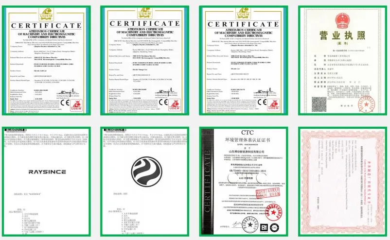 Qingdao Raysince Rhd Electric Car Electric Vehicle