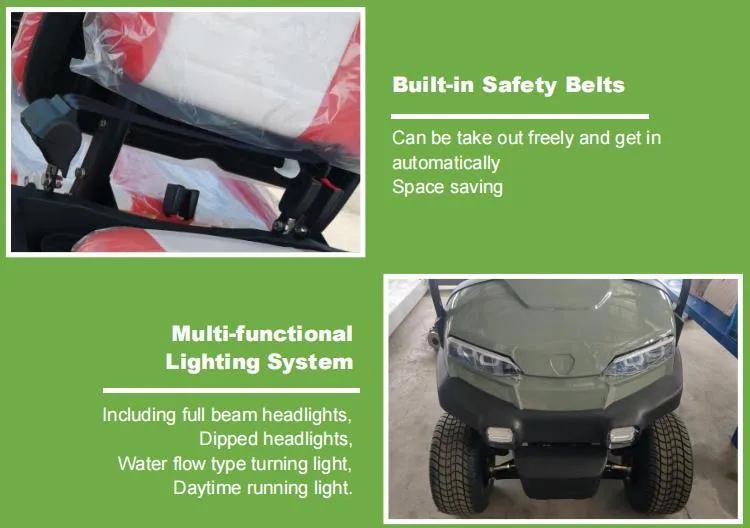 Raysince Ready to Ship Electric Car Cheap Price Latest Model Golf Cart Car