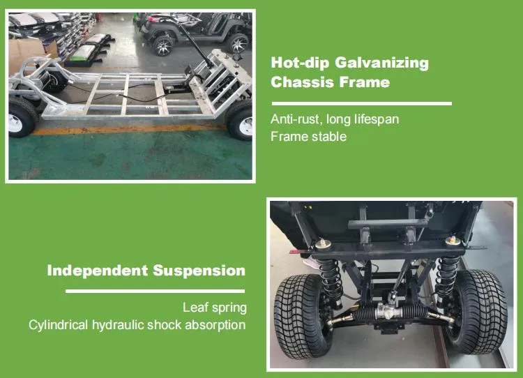 Raysince Ready to Ship Electric Car Cheap Price Latest Model Golf Cart Car