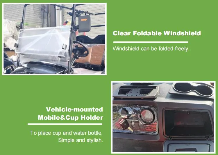 Raysince Ready to Ship Electric Car Cheap Price Latest Model Golf Cart Car