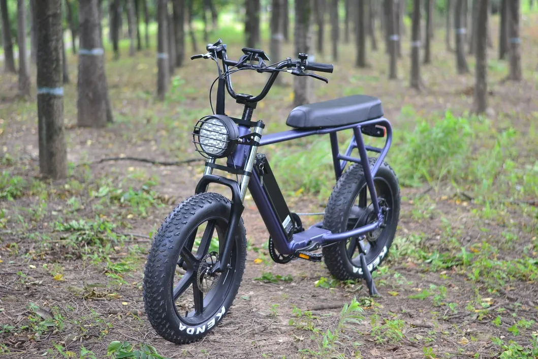 Rear Drive 48V 250W Fat Tyre Electric Bicycle Snow Bike for Adults