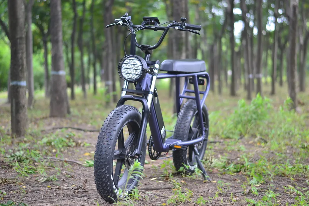 Rear Drive 48V 250W Fat Tyre Electric Bicycle Snow Bike for Adults