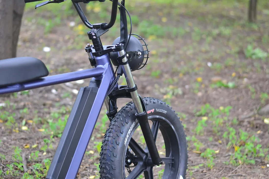 Rear Drive 48V 250W Fat Tyre Electric Bicycle Snow Bike for Adults