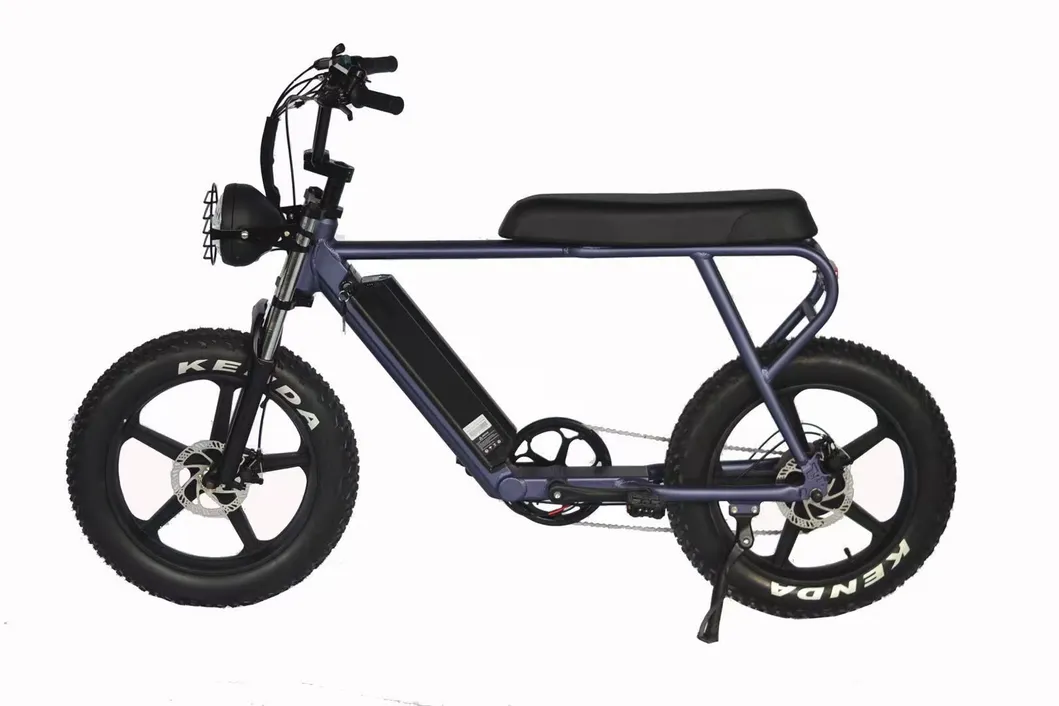 Rear Drive 48V 250W Fat Tyre Electric Bicycle Snow Bike for Adults