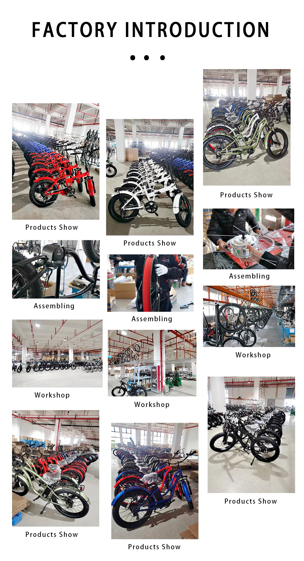 Rear Drive 48V 250W Fat Tyre Electric Bicycle Snow Bike for Adults