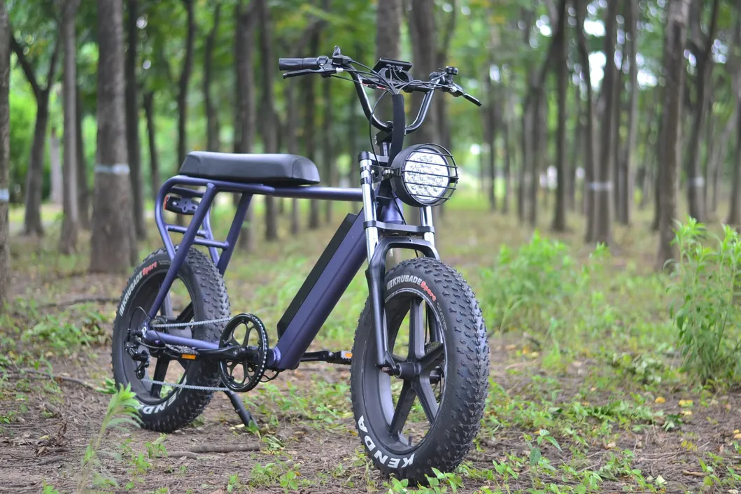 Rear Drive 48V 250W Fat Tyre Electric Bicycle Snow Bike for Adults