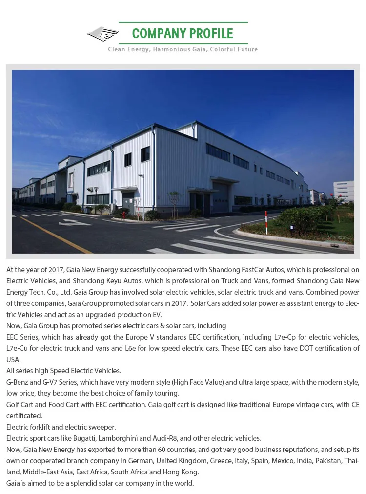 Right Hand and Left Hand All Possible Wiith DOT EEC Certificated L7e/L6e 4/2 Seaters Electric Cars