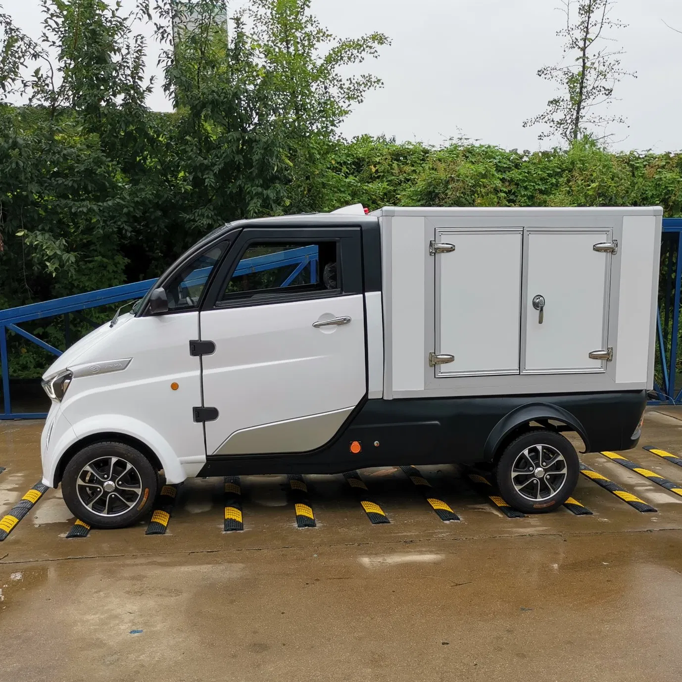 Runhorse Electric New Delivery Cars for Sale Automatic Luxury
