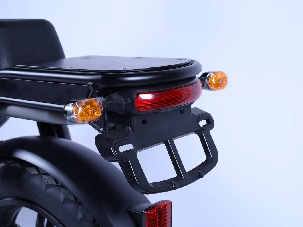 Shared Ebike Reliable Sharing Electric Bicycle with GPS Iot Module