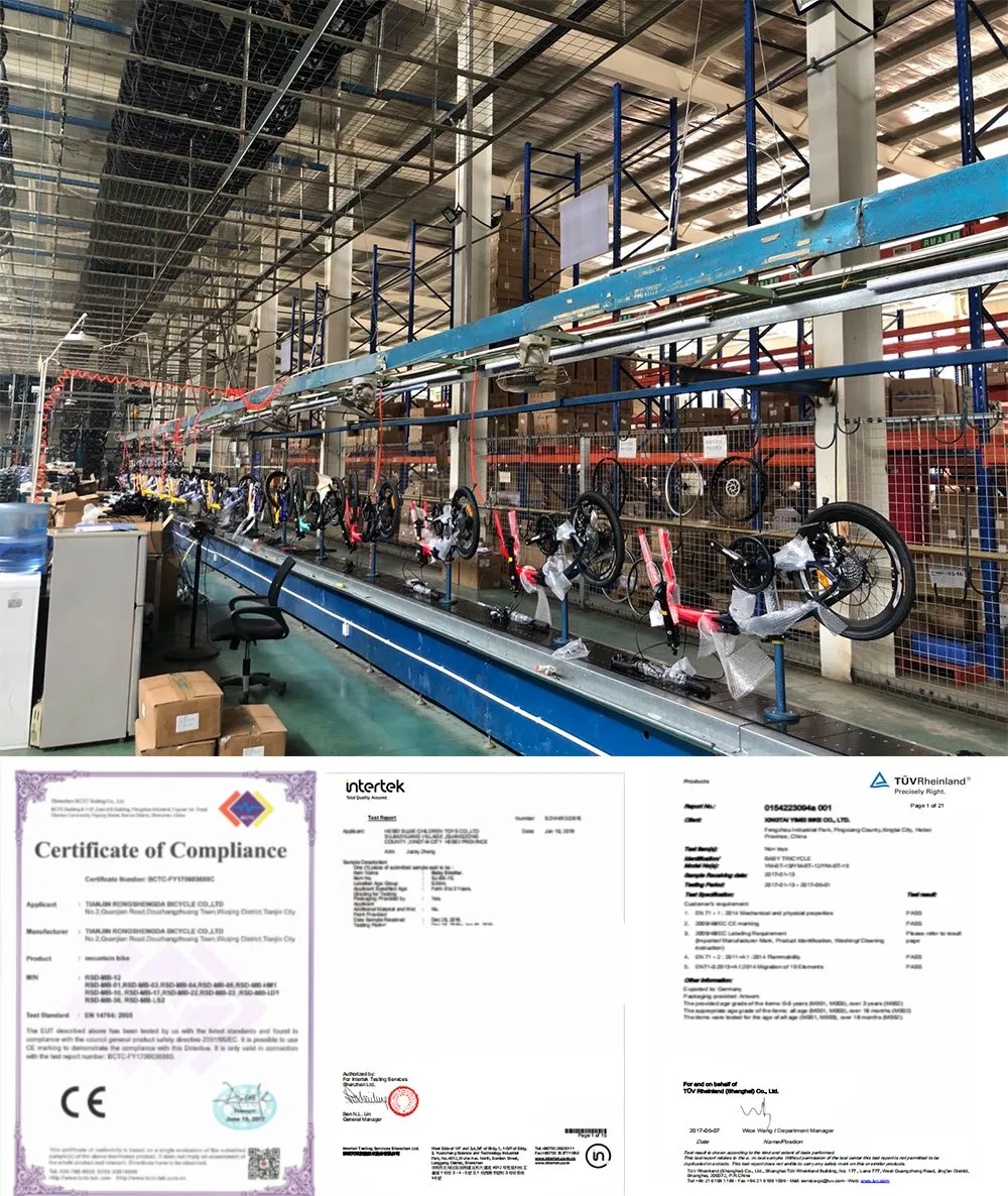 Shared Ebikesharing Electric Bicyclesharing Electric Bike Gear Ebike Speed Ebike Speed Electric Bike