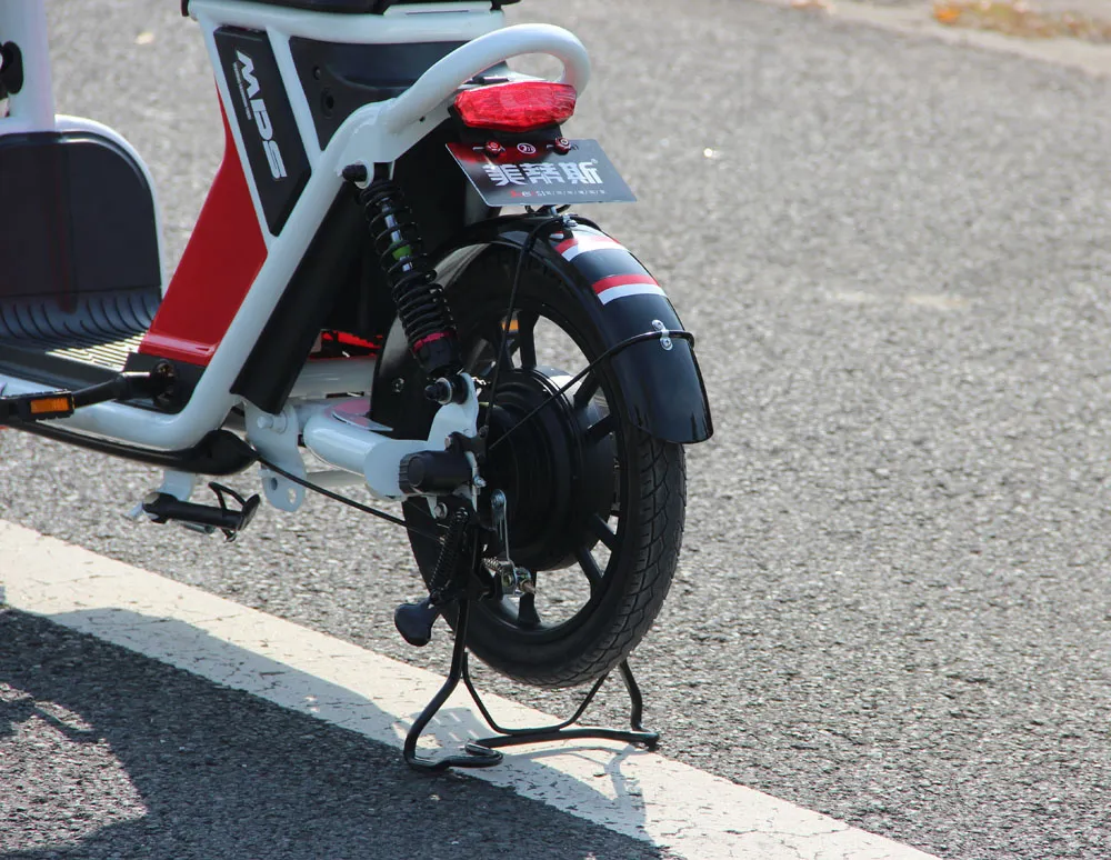 Shared Electric Bike for Rental