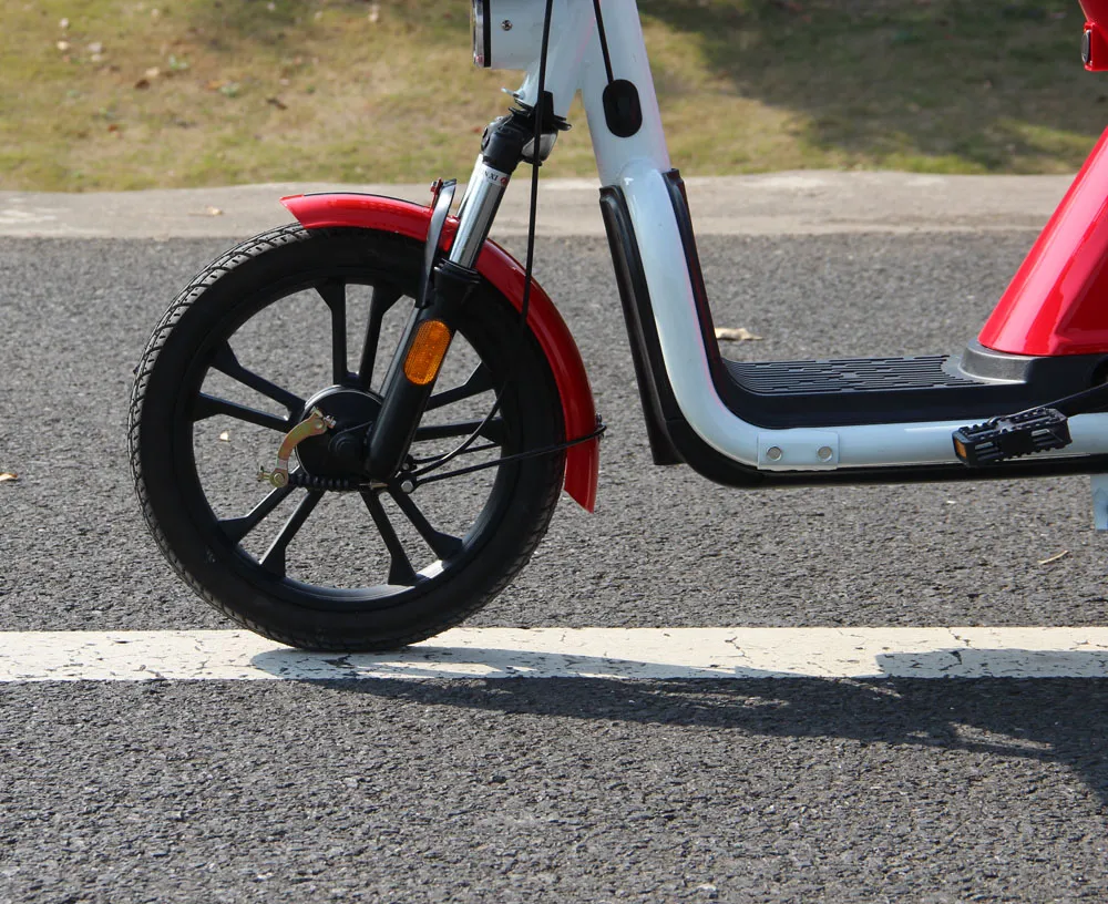 Shared Electric Bike for Rental