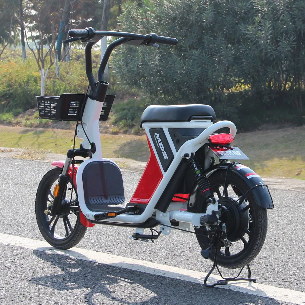 Shared Electric Bike for Rental