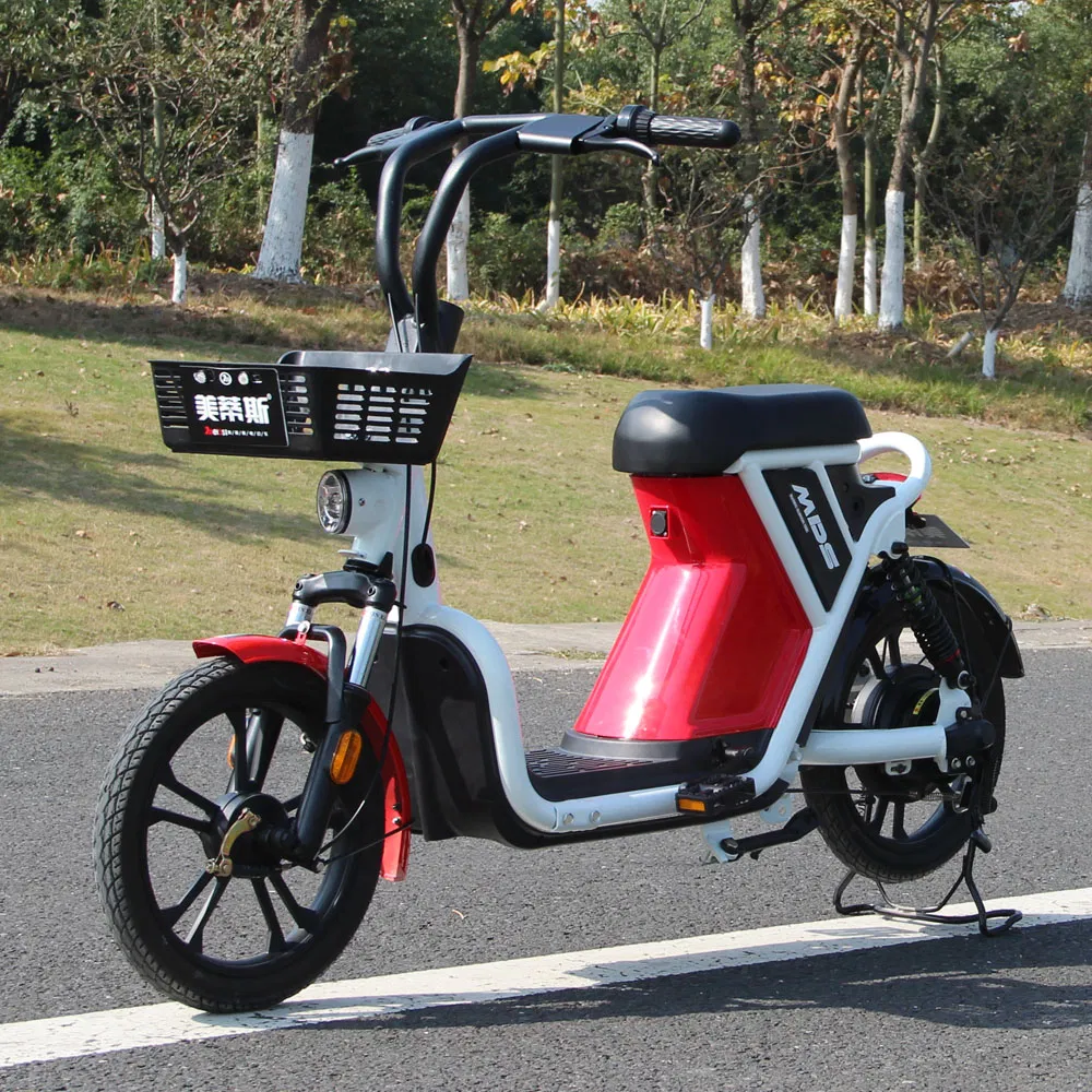 Shared Electric Bike for Rental