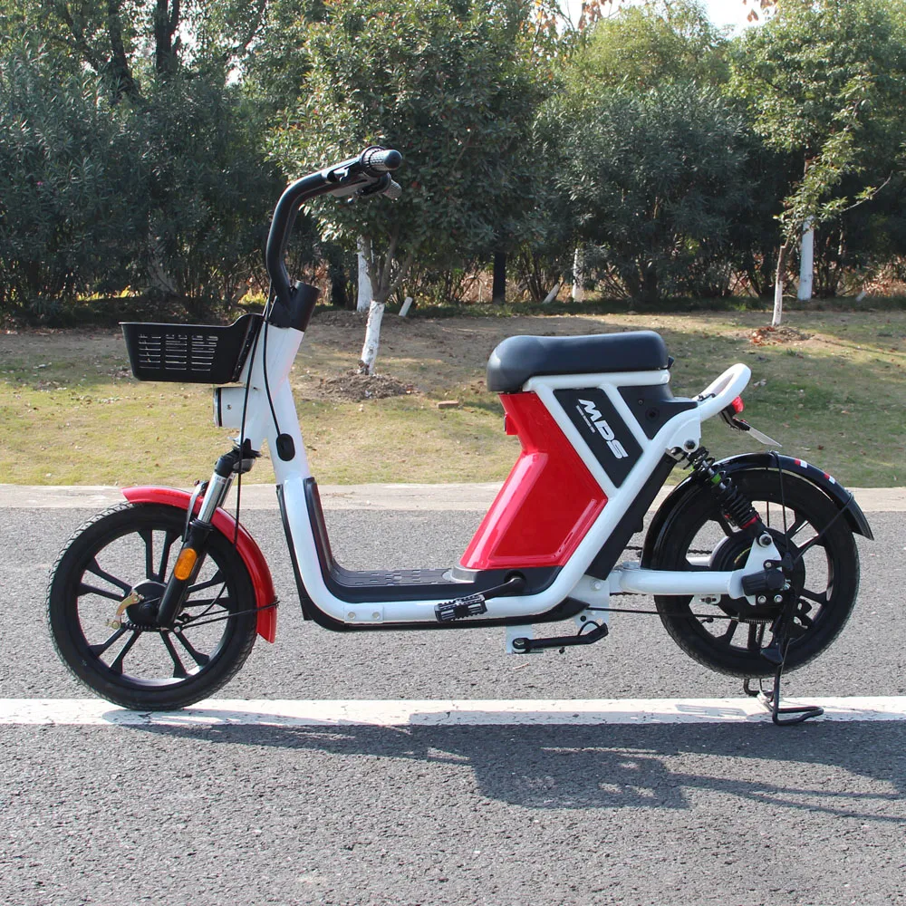 Shared Electric Bike for Rental