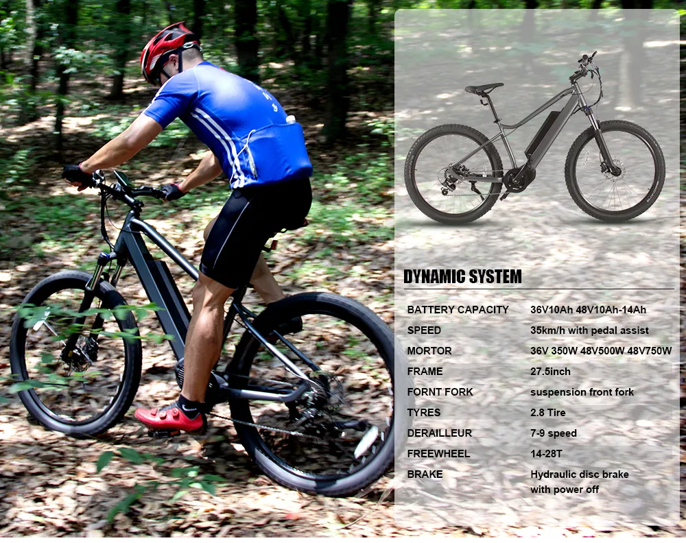 Shark 35km/H Competitive Price 500W 48V Electric Bike with LCD Display