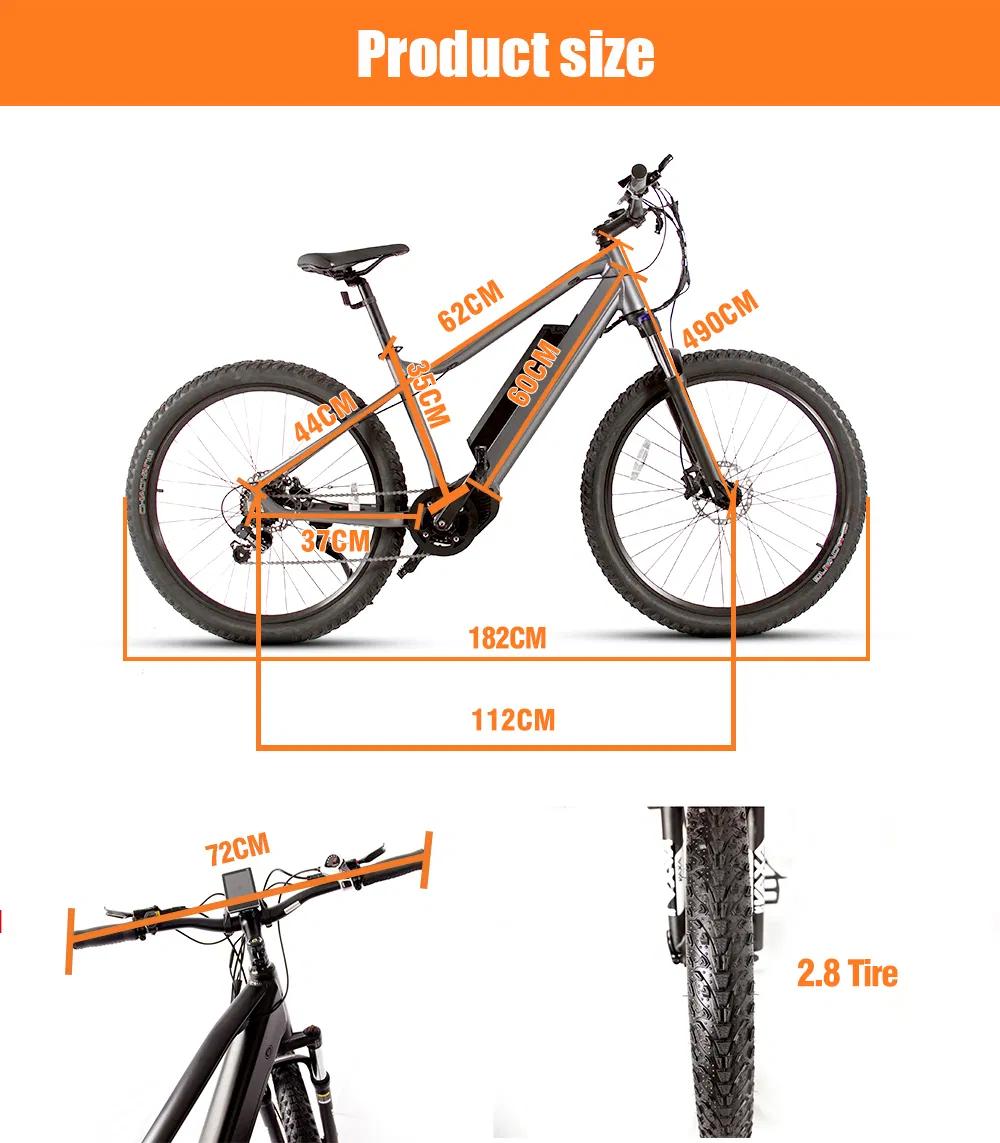 Shark 35km/H Competitive Price 500W 48V Electric Bike with LCD Display