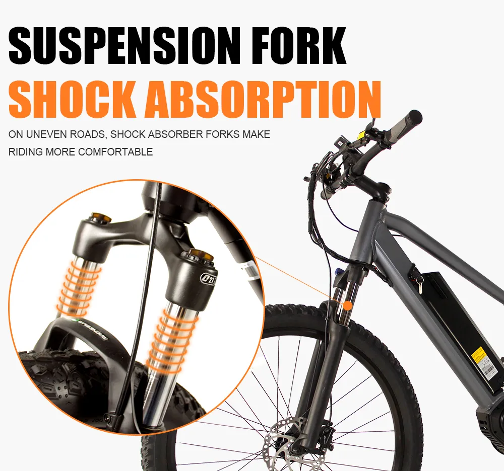 Shark 35km/H Competitive Price 500W 48V Electric Bike with LCD Display