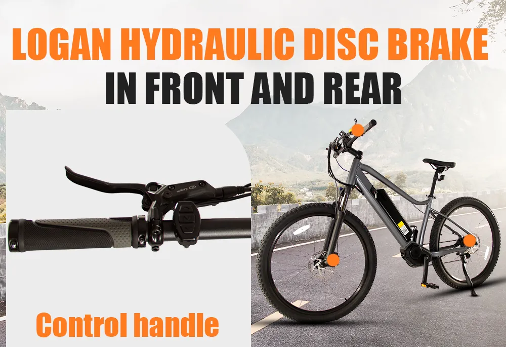 Shark 35km/H Competitive Price 500W 48V Electric Bike with LCD Display