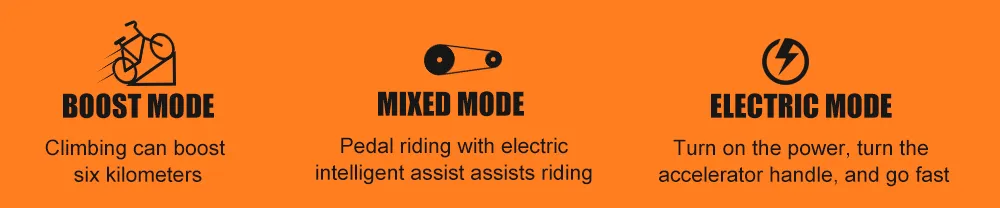 Shark 35km/H Competitive Price 500W 48V Electric Bike with LCD Display