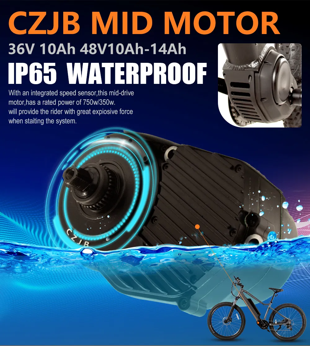 Shark 35km/H Competitive Price 500W 48V Electric Bike with LCD Display