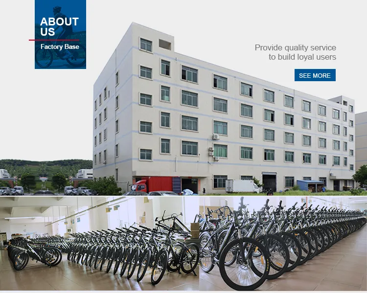 Shuangye Electric Motor Bike with 250W Brushless Mortor Folding Bike