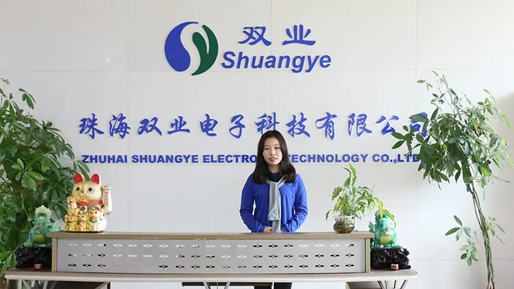 Shuangye Electric Motor Bike with 250W Brushless Mortor Folding Bike
