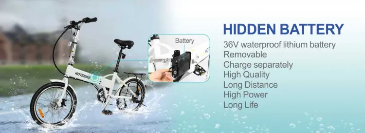 Shuangye Electric Motor Bike with 250W Brushless Mortor Folding Bike