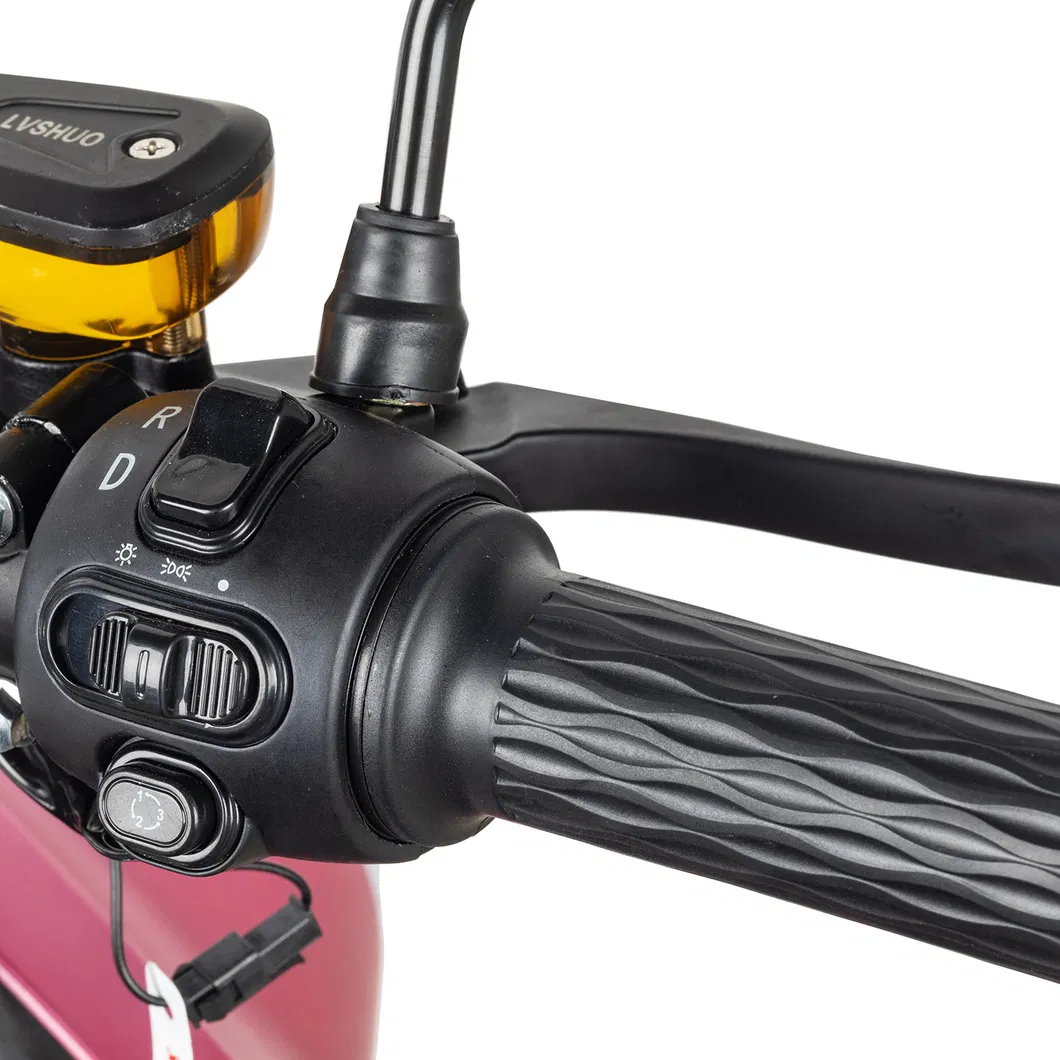 Speed Cobra 3wheel 60V Moteur Deux Electrique a Grandes Roues Cauciucuri En Scooter Chile Citycoco USA Dropshipping