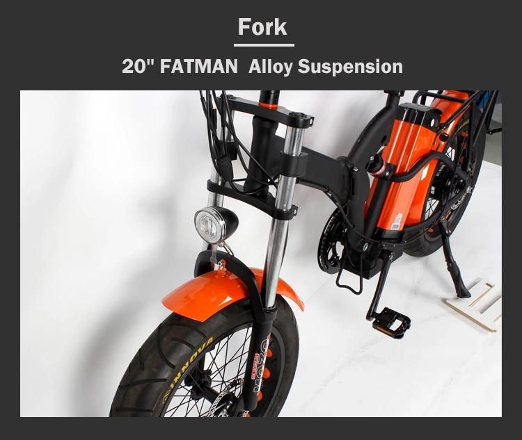 Speed Sensor Aluminum Mountain Ebike Electric Bicycle