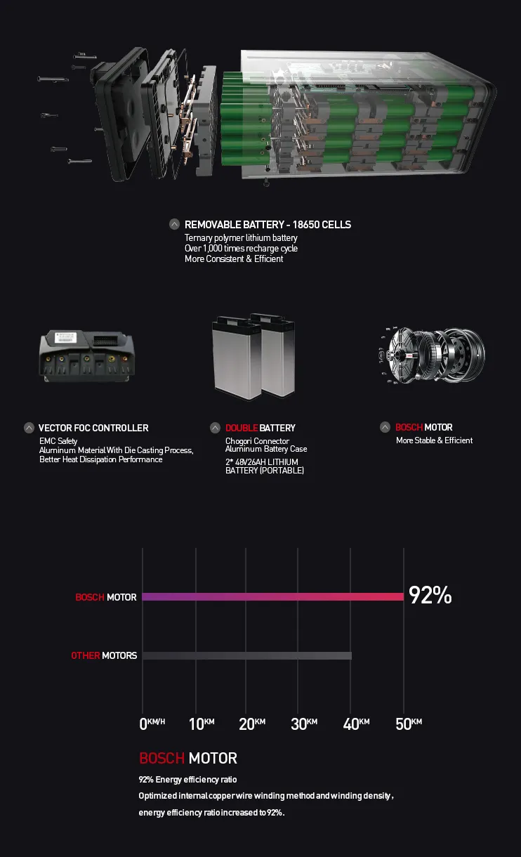 Sport 2000W 2 Wheel EEC Electric Motorcycle with Double Lithium Batteries for European