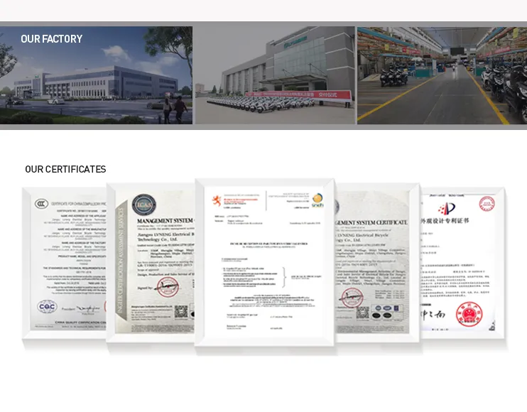 Sport 2000W 2 Wheel EEC Electric Motorcycle with Double Lithium Batteries for European