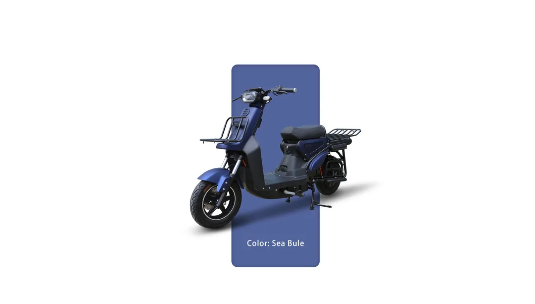 Uber Eats Delivery Electric Motor/Motorcycle Lithium Battery Scooter 1000W/3000W 72V40ah Ds3 18
