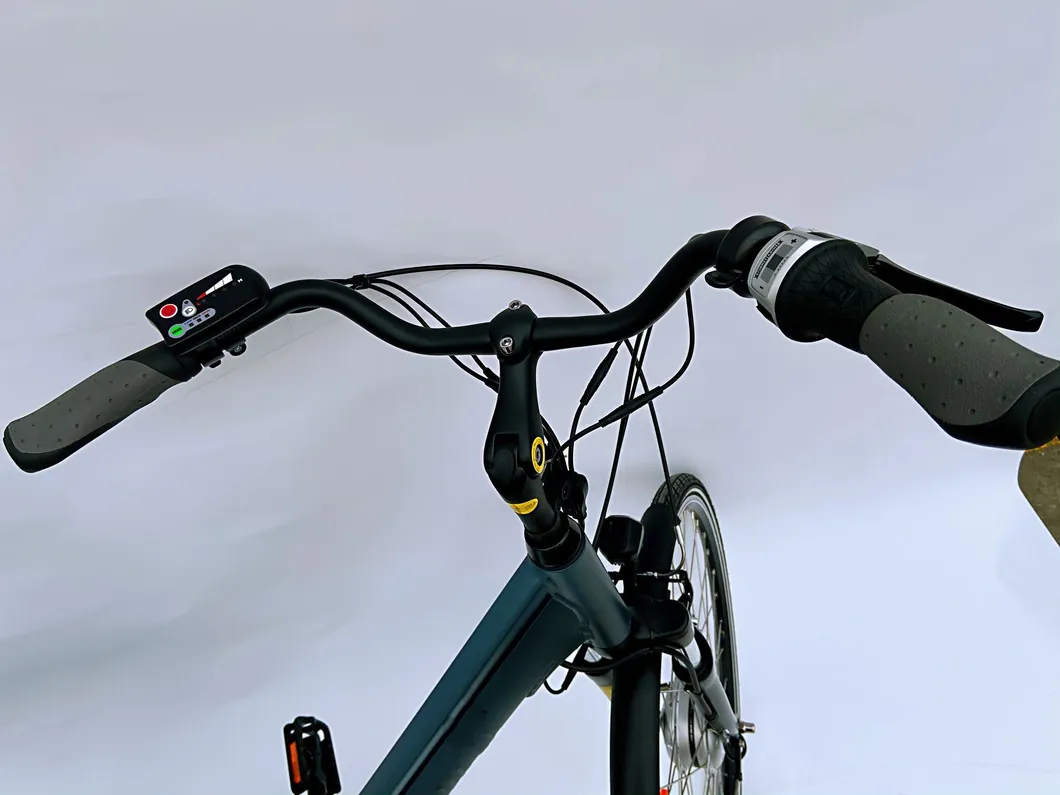 Urban Commuter Hub-Motor Woman High Performance 36V 250W City Green Environmental Electric Bike