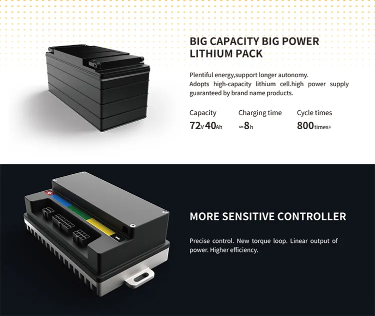 V28 EEC 2000W 3 Wheel Electric Motorcycle Adult Tricycle E Scooter with EEC