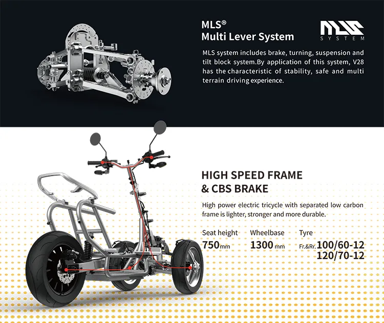 V28 EEC 2000W 3 Wheel Electric Motorcycle Adult Tricycle E Scooter with EEC