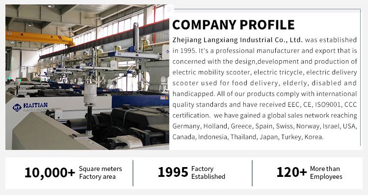 V28 Electric Bicycle Tricycle Reverse Trike Electric Motorcycle Eectric Scooter with EEC