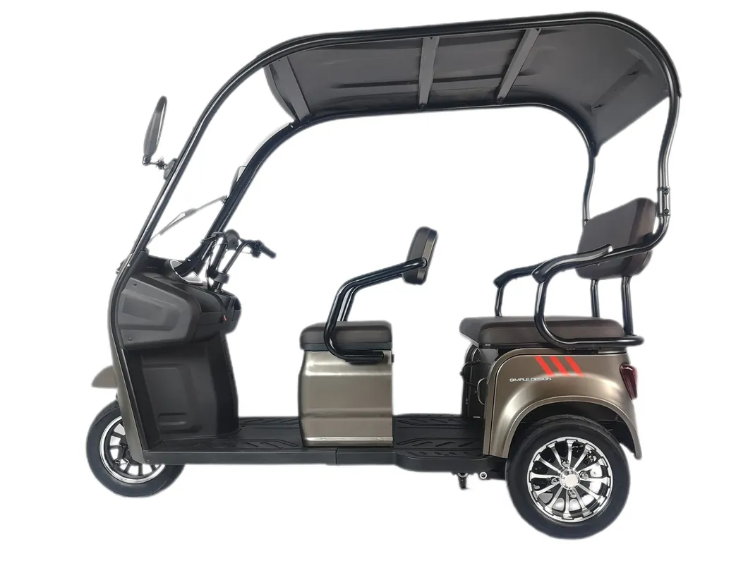 V3 800W Power Three Wheel Electric Tricycle for Elderly People