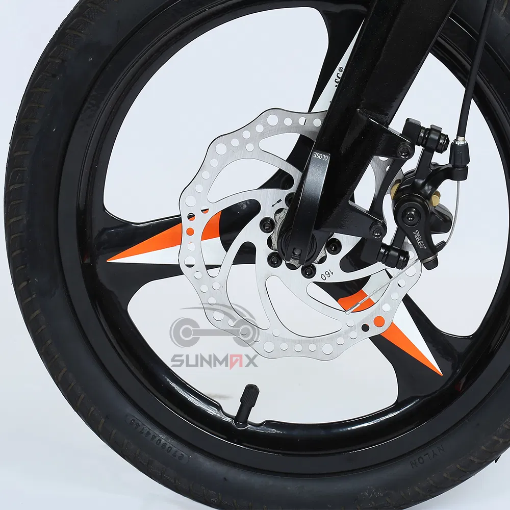 Wellgo Folding Non-Slip Pedal Electric Motorcycle