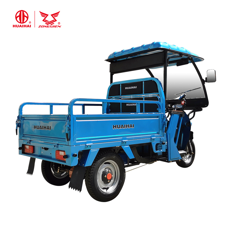 Wholesale 60V/120ah High Power Long Rang Adult Electric Cargo Tricycle From China