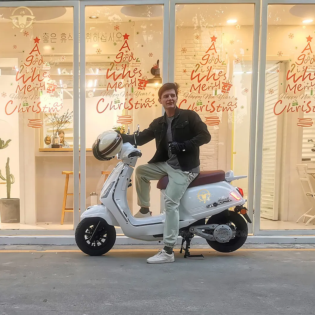 Wholesale L1e L3e 45-80km/H E-Moped 1500W Motor Adult Electric Scooter