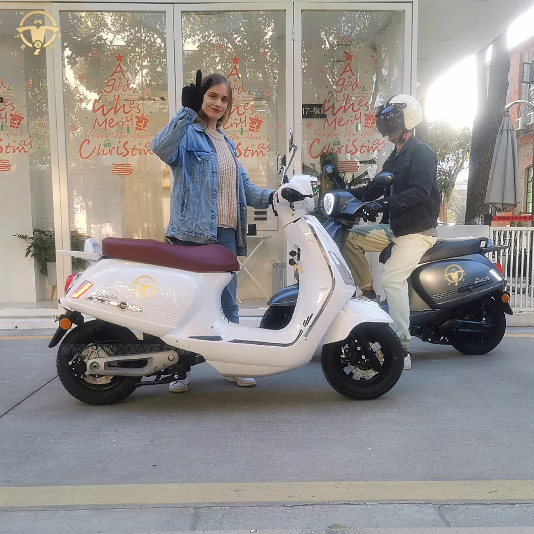 Wholesale L1e L3e 45-80km/H E-Moped 1500W Motor Adult Electric Scooter